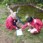 Girls by the pond