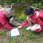 Girls by the pond