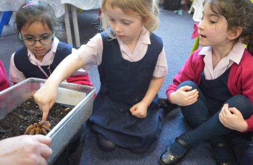 girl touching a big hairy spider