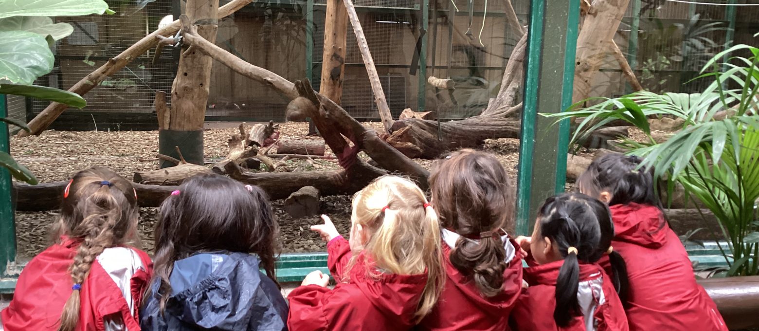 students in the zoo