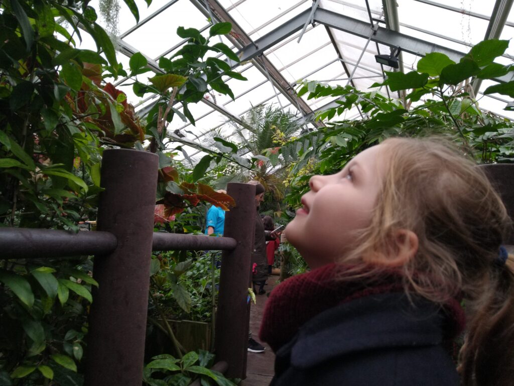 student in a green house