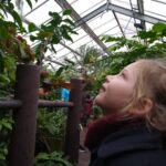 student in a green house
