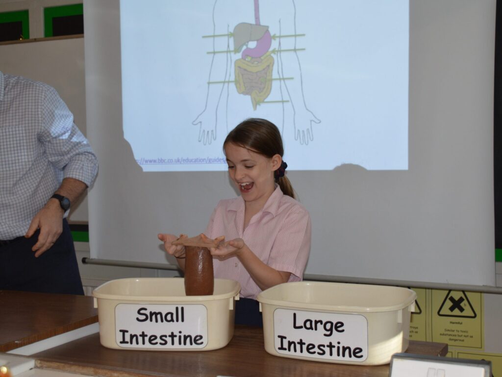 practical science