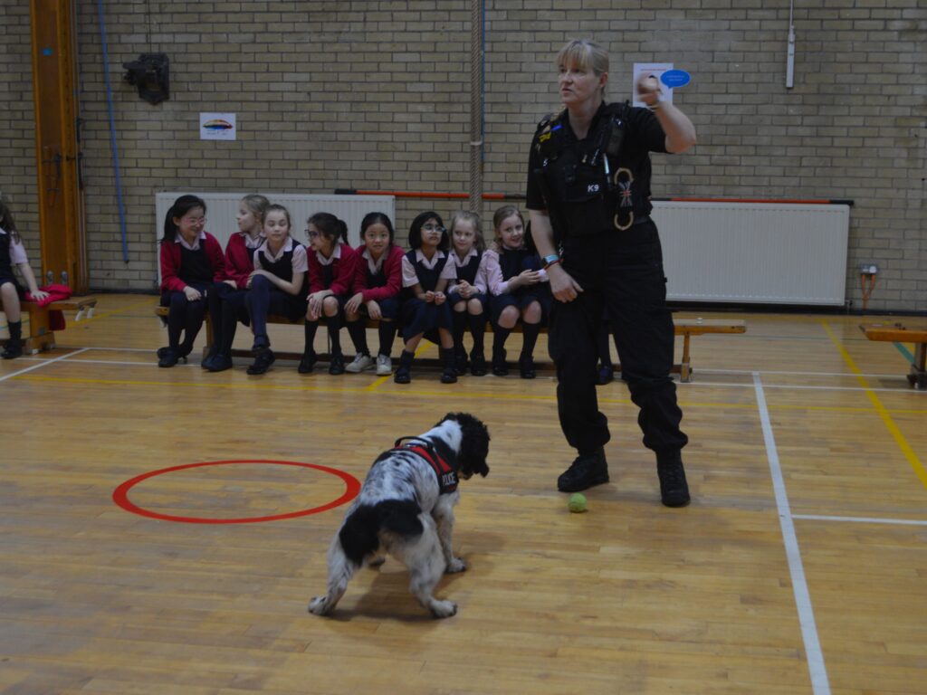 police dog
