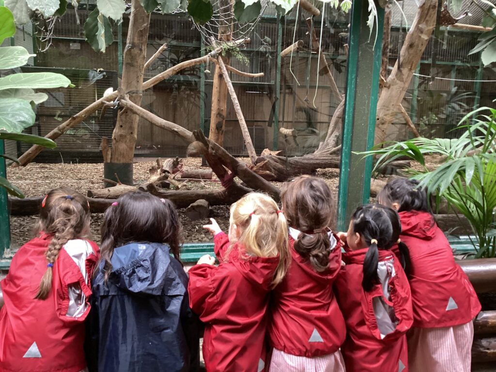 students in the zoo