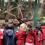 students in the zoo