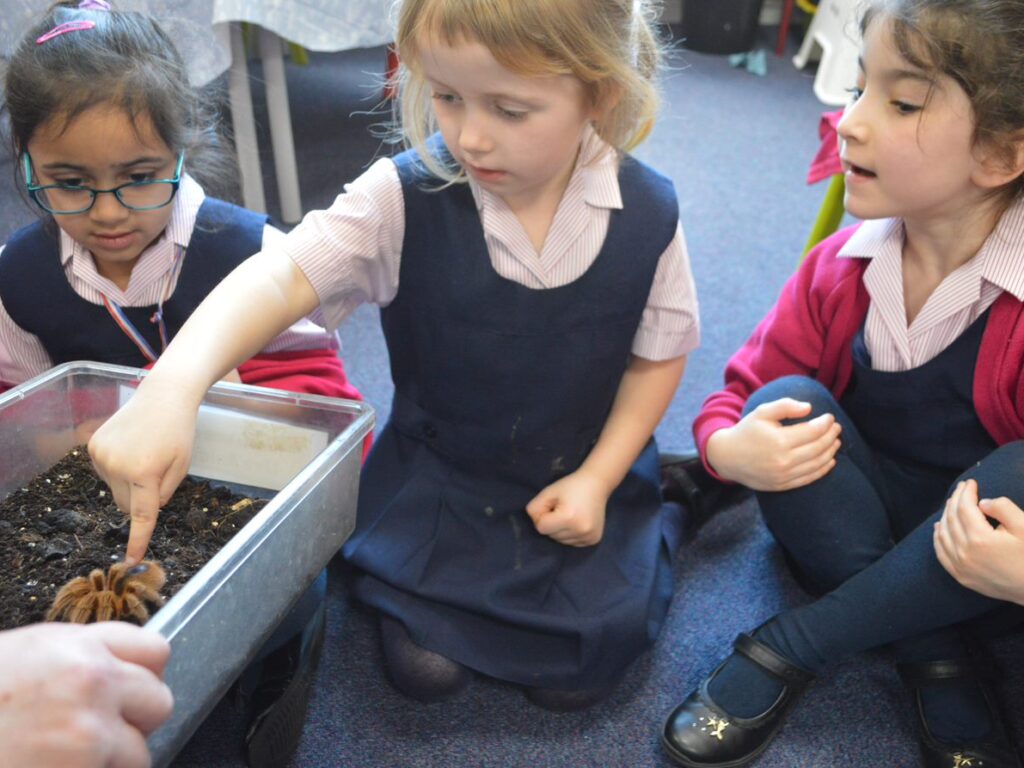 girl touching a big hairy spider