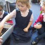 girl touching a big hairy spider