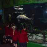 students looking at fish