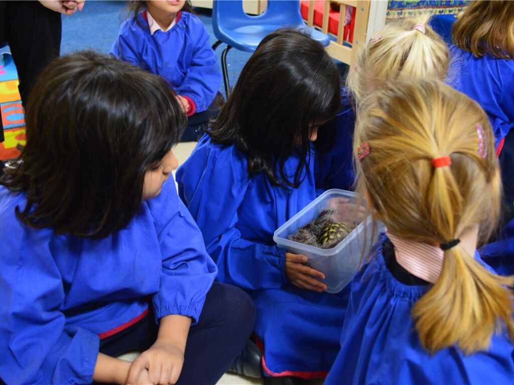 students holding animals